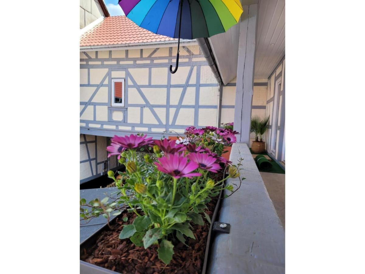 Sternadelshof Apartment Grabe Exterior photo